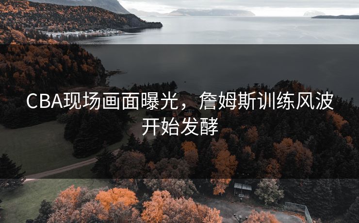 CBA现场画面曝光，詹姆斯训练风波开始发酵
